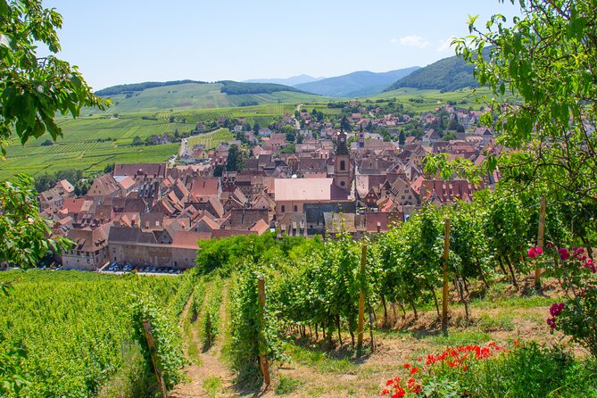 Alsace Wine Route Wineries & Tasting Small Group Guided Tour From Strasbourg - Exclusions