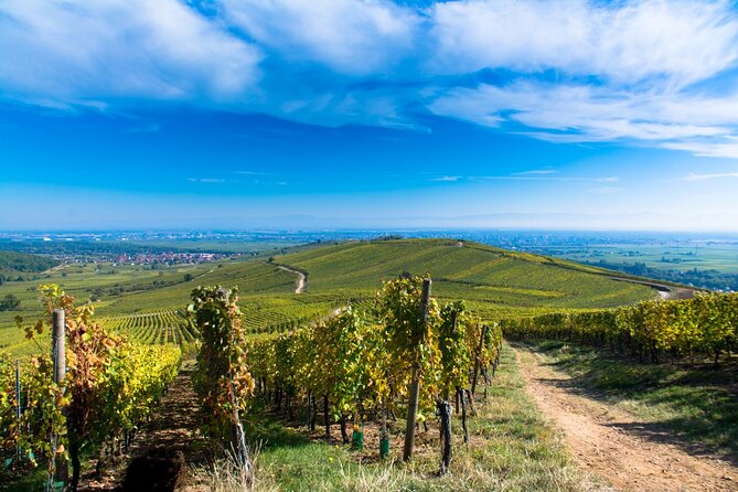 Alsace Wine Route Wineries & Tasting Small Group Guided Tour From Strasbourg - Directions