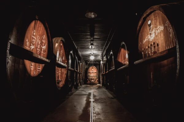 Alsace: Wine Tasting and Gourmet Christmas Lunch - Gift Package Benefits