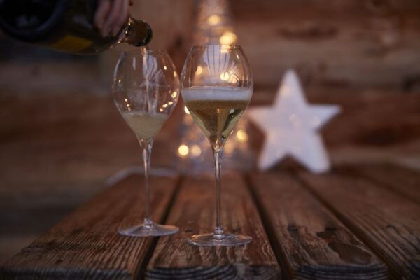 Alsace: Wine Tasting and Gourmet Christmas Lunch - Tour Guide and Small Group Experience