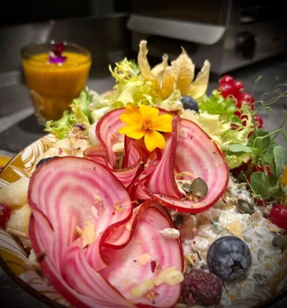 Alsace: Wine Tasting and Gourmet Christmas Lunch - Booking and Cancellation Details