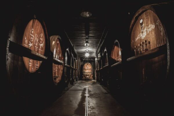 Alsace: Wine Tasting and Gourmet Christmas Lunch - Common Questions