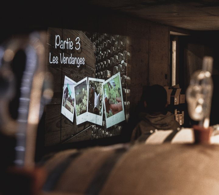 Alsace: Wine Tasting Tour and Vegetarian Lunch - Experience Highlights