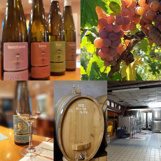 Alsace Wine Tour & Medieval Villages Small Group Guided Tour - Good To Know
