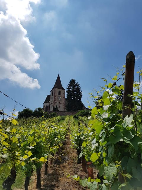 Alsace Wine Tour & Medieval Villages Small Group Guided Tour - Booking Details