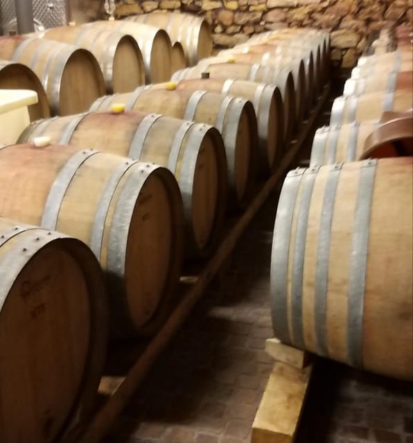 Alsace Wine Tour & Medieval Villages Small Group Guided Tour - Frequently Asked Questions