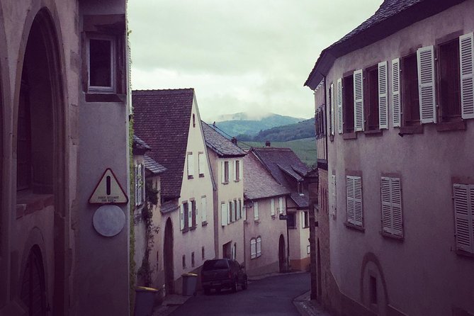 Alsace Wineries Private Half- or Full-Day Tour From Colmar - Additional Information