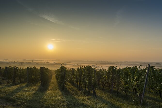 Alsace Wineries Private Half- or Full-Day Tour From Colmar - Cancellation Policy and Reviews