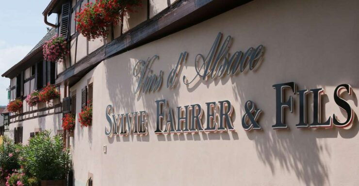 Alsace: Winery Tour & Tasting - Wine Tasting Experience Details