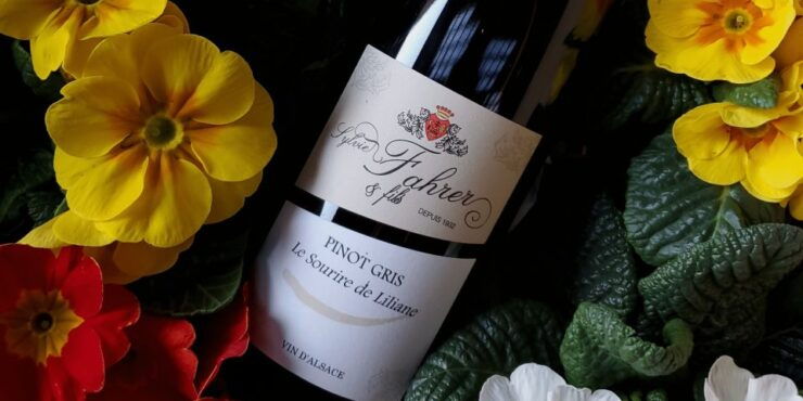 Alsace: Winery Tour - Wine Tasting and Food Pairings - Experience Options