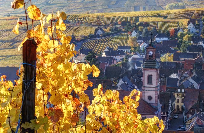 Alsaces Gems Small Group Day Tour From Colmar - Tour Details