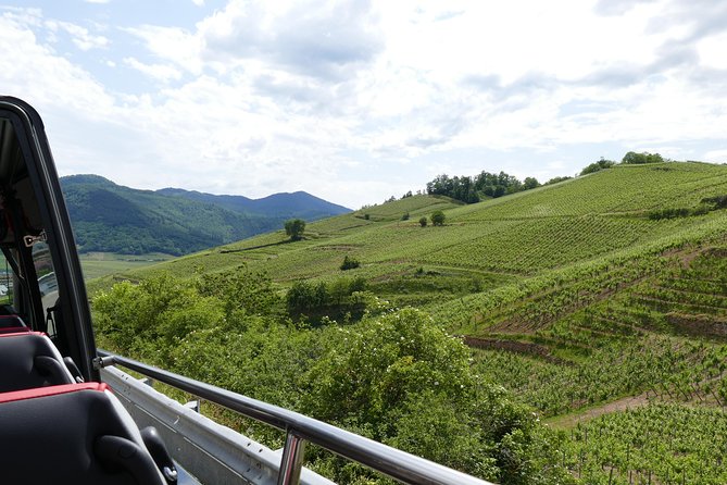 Alsatian Towns Day Trip From Strasbourg - Eguisheim: Birthplace of Alsatian Wine