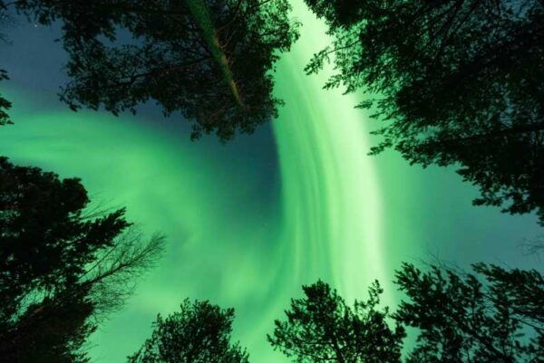 Alta: Aurora Hunt Tour With Professional Photographer - Frequently Asked Questions