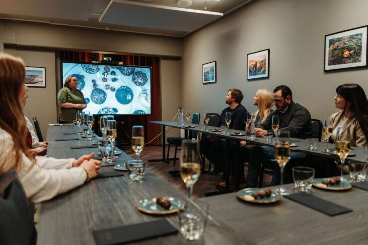 Alta: Chocolate Tasting and Factory Tour - Experience Highlights