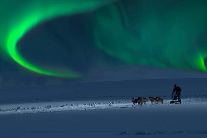 Alta: Dog Sledding Trip Under the Northern Lights - Suitability and Restrictions