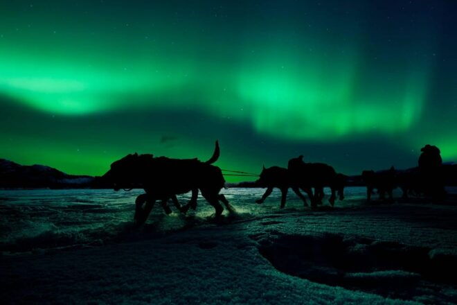 Alta: Dog Sledding Trip Under the Northern Lights - Clothing and Essentials