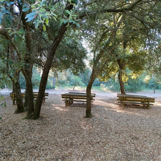 Alta Murgia: E-Bike Tour With Panoramic Aperitivo in Nature - Embracing Sustainability in Nature