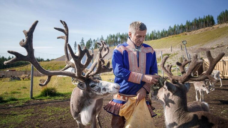Alta: Reindeer - A carrier of Sámi Culture - Analyzing the Value and Experience