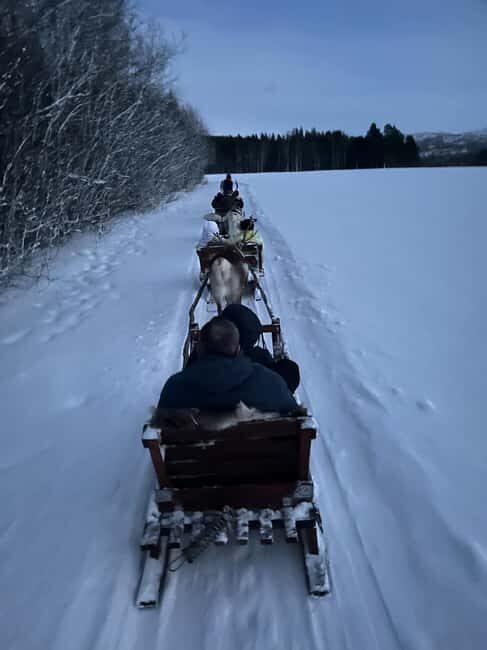 Alta: Reindeer Ride - Good To Know