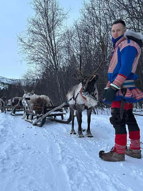 Alta: Reindeer Ride - An In-Depth Look at the Alta Reindeer Ride Experience