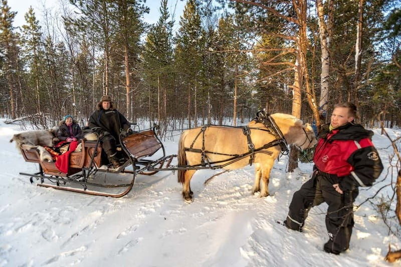 Alta: Sleigh or wagon Ride in the Arctic Countryside - Good To Know