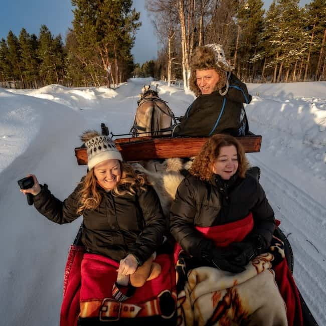 Alta: Sleigh or wagon Ride in the Arctic Countryside - Who Should Consider This Tour?