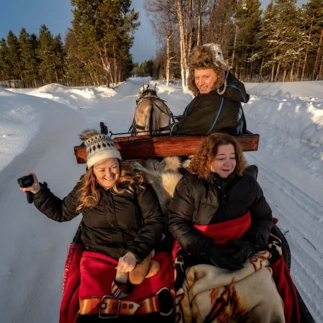 Alta: Sleigh Ride in the Arctic Countryside - Alta: Sleigh Ride in the Arctic Countryside – A Cozy Nordic Adventure
