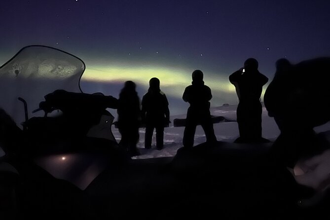 Alta Small-Group Northern Lights Snowmobile Tour - Tour Overview and Inclusions