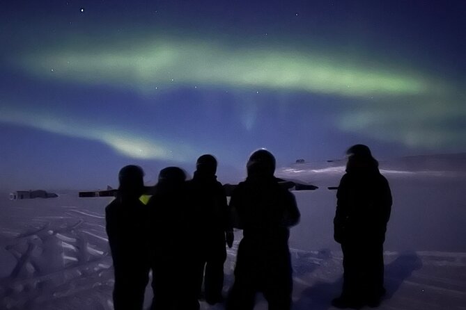 Alta Small-Group Northern Lights Snowmobile Tour - What To Expect