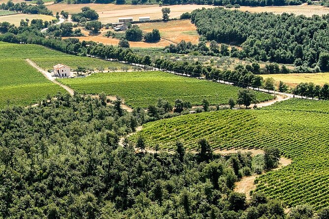 Alta Tuscia Ebike Tour With Visit to Antica Cantina Leonardi - Good To Know