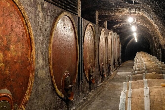 Alta Tuscia Ebike Tour With Visit to Antica Cantina Leonardi - Cancellation Policy