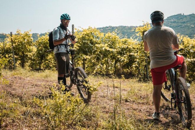 Alta Tuscia Ebike Tour With Visit to Antica Cantina Leonardi - Restrictions to Note