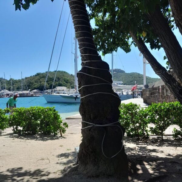 Altagracia: Multi Language Island Tours With Tasting - Cancellation and Payment