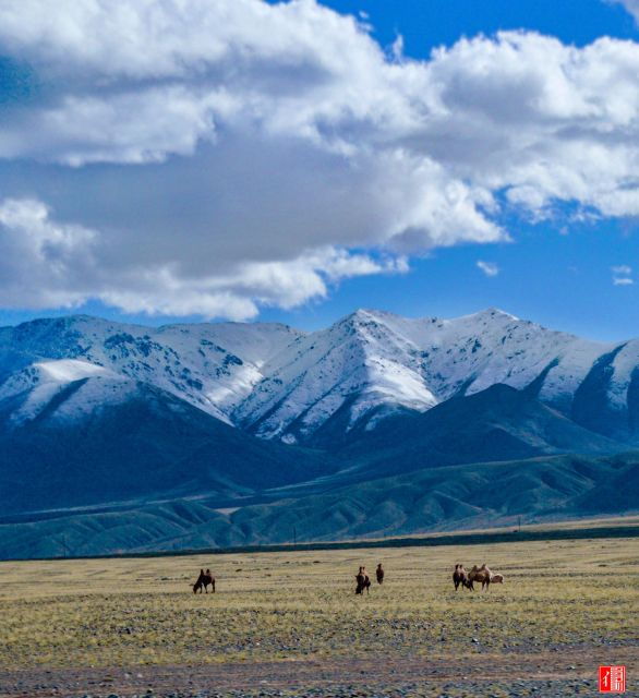 Altai Tavan Bogd Tour in Western Mongolia - Good To Know