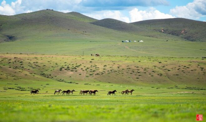 Altai Tavan Bogd Tour in Western Mongolia - Frequently Asked Questions