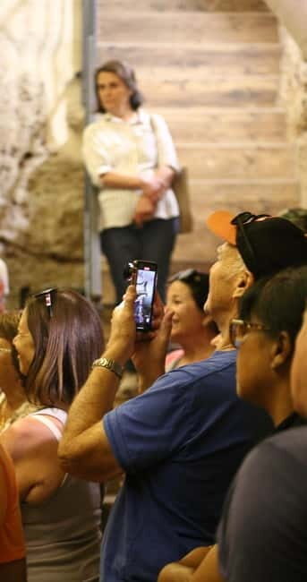 Altamura: Wine Museum Guided Tour with Tasting - Who Will Love This Tour?