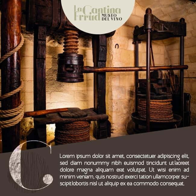 Altamura: Wine Museum Guided Tour with Tasting - FAQ