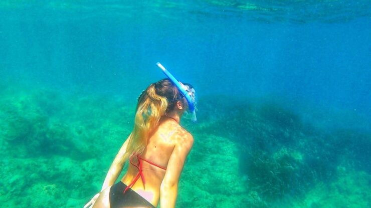 Altea: Guided Kayak Tour - Good To Know