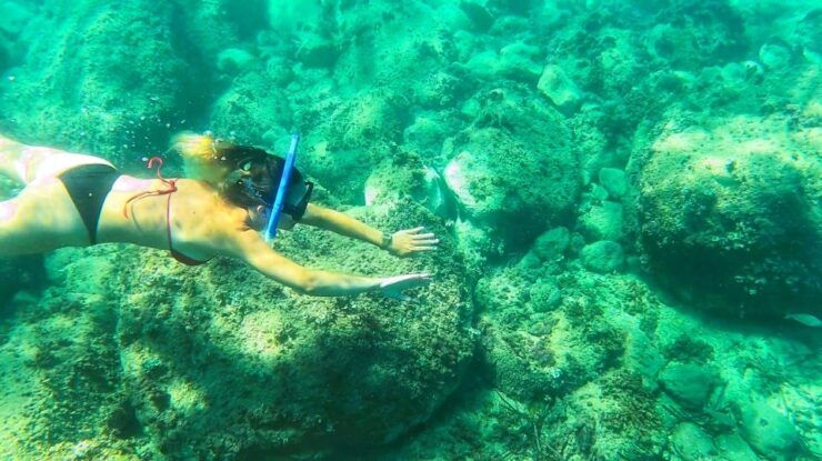 Altea: Guided Kayak Tour - Customer Reviews