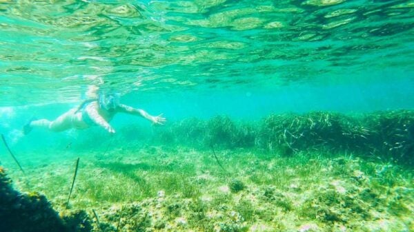 Altea: Guided Kayak Tour - Equipment and Safety