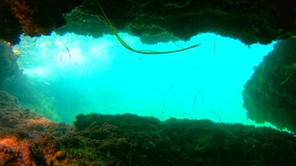 Altea: Guided Kayak Tour - The Sum Up