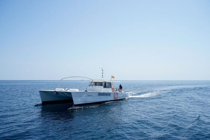 Altea: Motor Catamaran Boat Tour With Sunset Option - Frequently Asked Questions