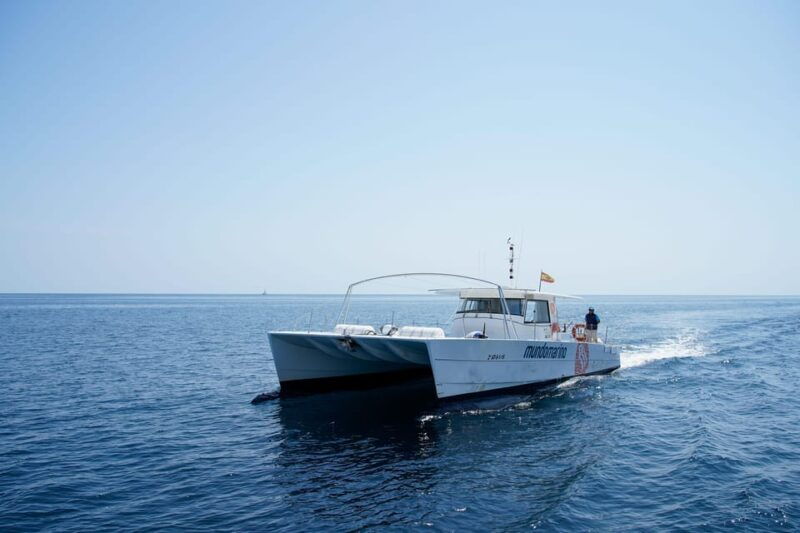 Altea: Motor Catamaran With Optional Lunch and Swimming Stop - Booking and Cancellation
