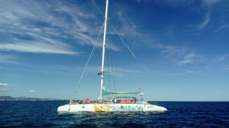 Altea: Sailing Catamaran Cruise With Swimming Stop - Experience Highlights