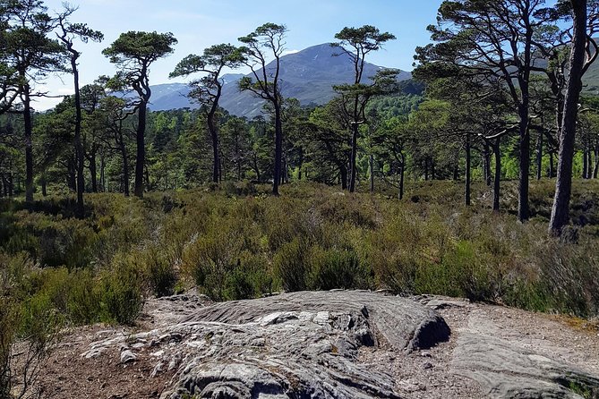 Alternative Loch Ness Tour by Secret Highlands - Inclusions and Services