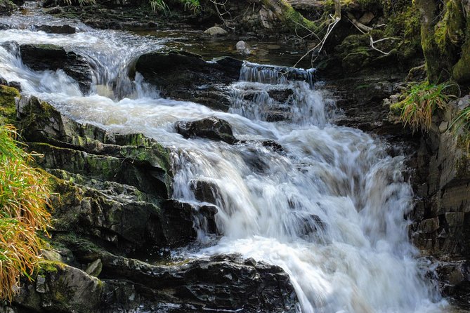 Alternative Loch Ness Tour by Secret Highlands - Common Questions