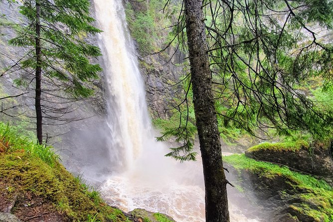 Alternative Loch Ness Tour by Secret Highlands - The Sum Up