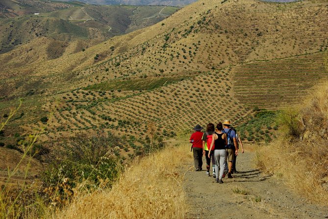 Alto Douro Walk & WineTour - Cancellation Policy