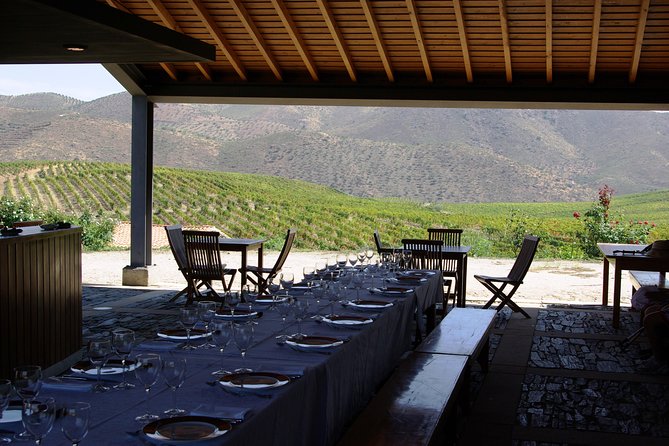 Alto Douro Walk & WineTour - Customer Reviews