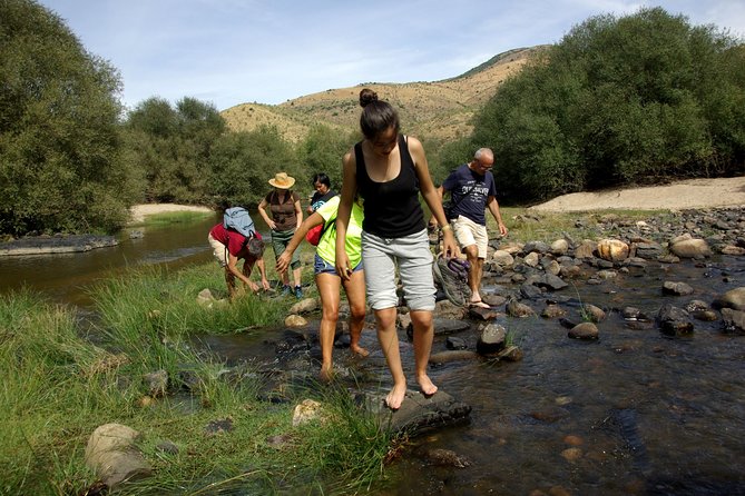 Alto Douro Walk & WineTour - The Sum Up